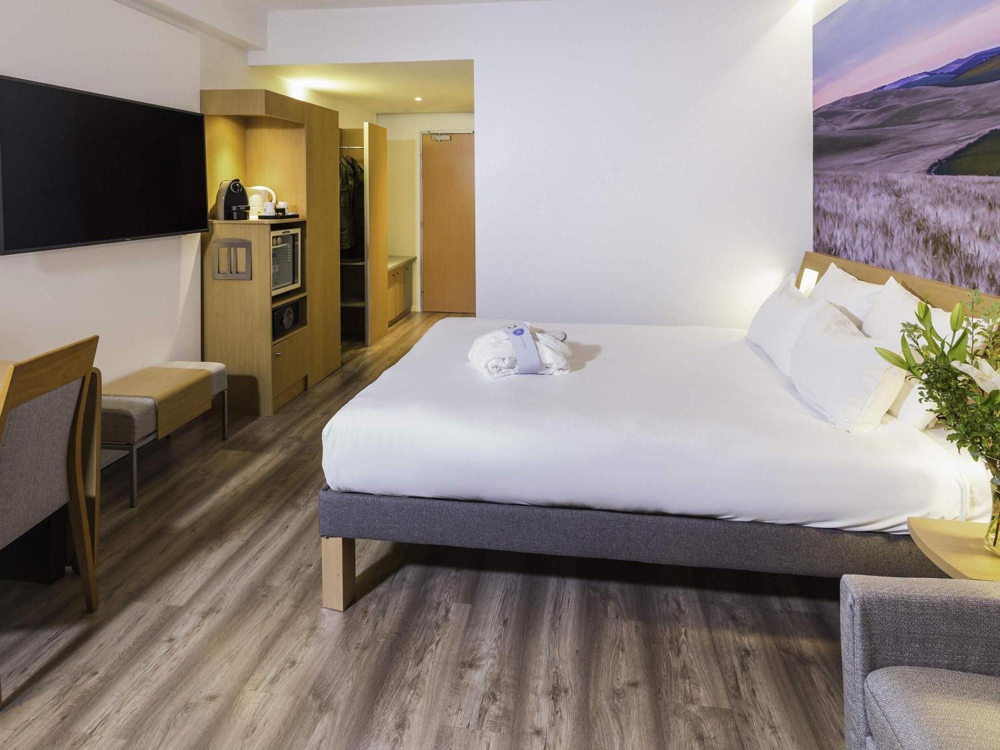 Executive Queen Room Sofa Bed